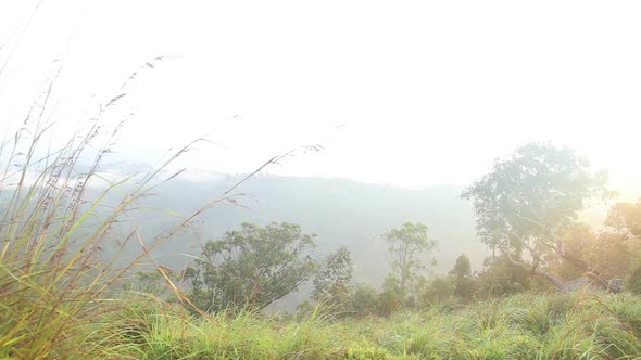 View Of Foggy Sunrise On The Little Adam's Peak In Ella, Sri Lanka 36