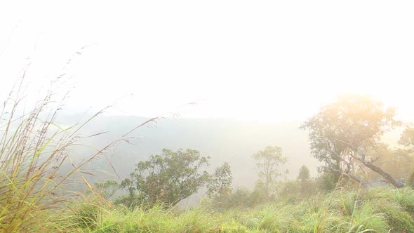 View Of Foggy Sunrise On The Little Adam's Peak In Ella, Sri Lanka 39