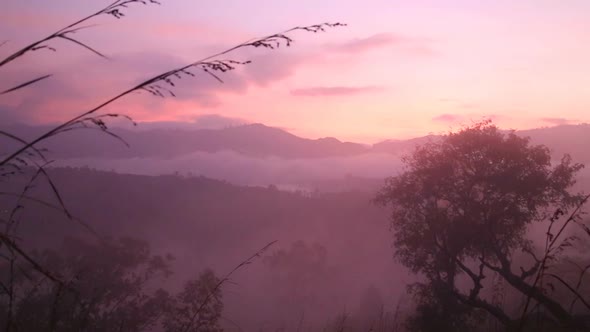 View Of Foggy Sunrise On The Little Adam's Peak In Ella, Sri Lanka 4