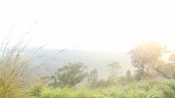 View Of Foggy Sunrise On The Little Adam's Peak In Ella, Sri Lanka 40