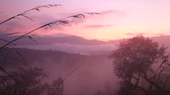 View Of Foggy Sunrise On The Little Adam's Peak In Ella, Sri Lanka 5