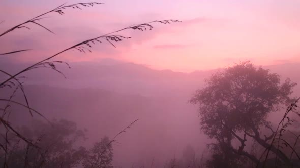 View Of Foggy Sunrise On The Little Adam's Peak In Ella, Sri Lanka 6