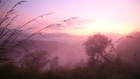 View Of Foggy Sunrise On The Little Adam's Peak In Ella, Sri Lanka 7