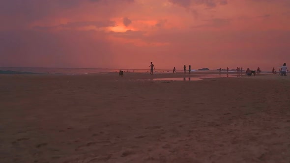 Hikkaduwa, Sri Lanka - February 2014: People Playing Sports On The Sandy Beach At Sunset. 1