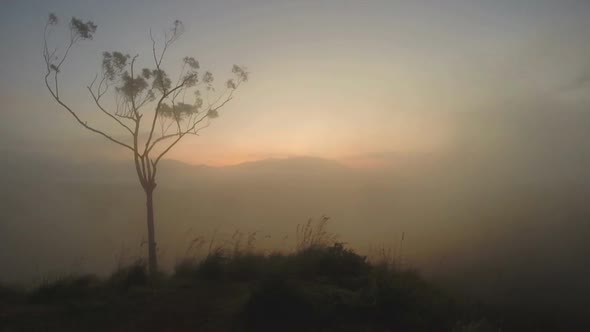 Magical Sun Rising With Mist Passing Over Mountain And Tree Silhouette At Ella Peak, Sri Lanka.