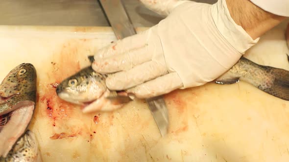 Chef Cutting Fish In Restaurant 7 alt