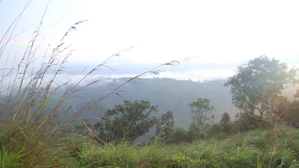 Timelapse Of Foggy Sunrise On The Little Adam's Peak In Ella, Sri Lanka 10