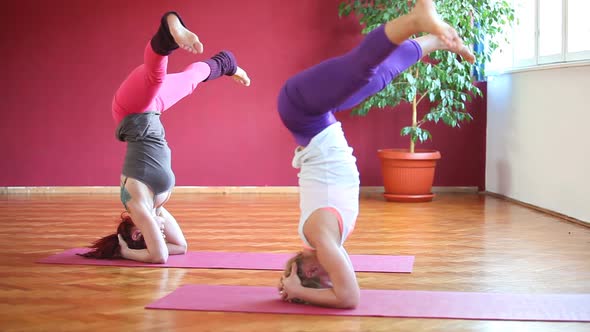 Women Doing Yoga Class In Hall 23