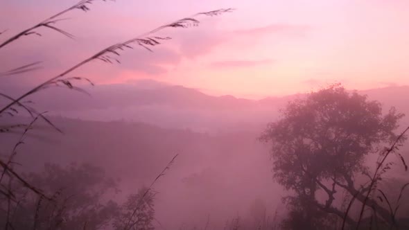 Timelapse Of Foggy Sunrise On The Little Adam's Peak In Ella, Sri Lanka 2