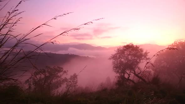 Timelapse Of Foggy Sunrise On The Little Adam's Peak In Ella, Sri Lanka 4