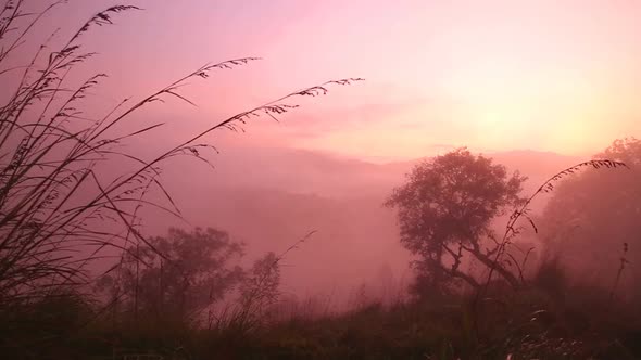 Timelapse Of Foggy Sunrise On The Little Adam's Peak In Ella, Sri Lanka 5