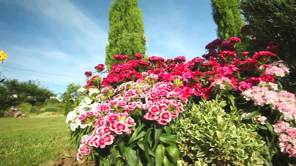 Tracking of flower bed in front of wooden house 16