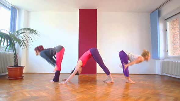 Women Doing Yoga Class In Hall 48