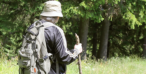 Senior Tourist Woman Walking in Forest 2 