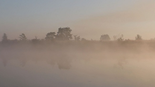 Dawn on the River