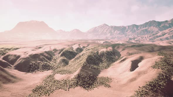 Wide View of California Desert