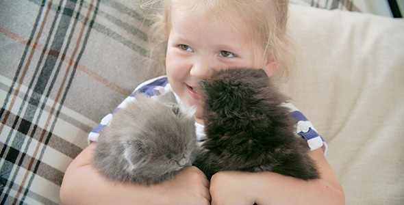 Happy with My Kittens  alt