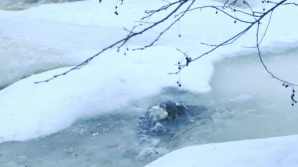 River Stream with Floating Ice