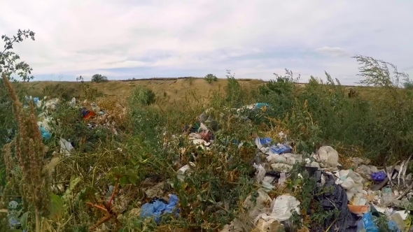 Huge Midden In Grass Outside City