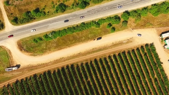Aerial View Over Fruit Orchards And Road