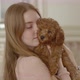 Young beautiful girl holding a poodle puppy in her arms. presses to itself. The puppy yawns. - VideoHive Item for Sale