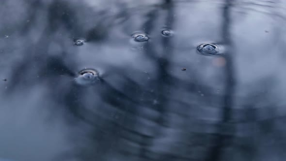 Drops of Water Drip Into the Night River