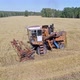 Harvester Collects Oats. - VideoHive Item for Sale