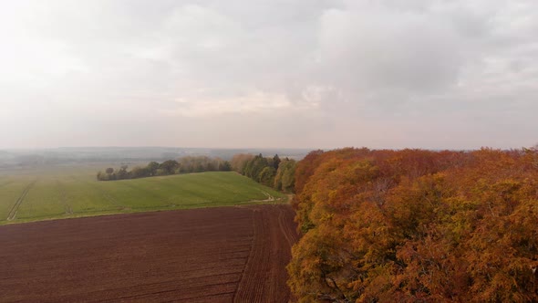 Autumn fields and trees tops