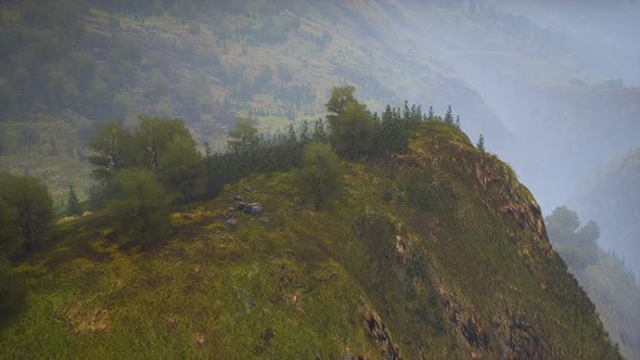 Small Green Trees on Hills in Fog