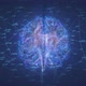 Brain Network - Polar Lights and Star Nebula - VideoHive Item for Sale