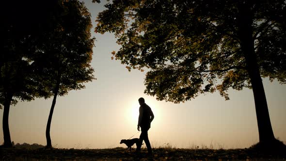 Against the Background of the Bright Orange Sunset Sky Silhouettes of a Man Walking with a Dog