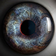 High Poly Human Eye - 3DOcean Item for Sale