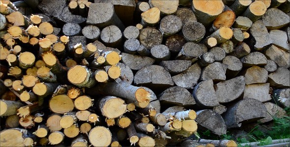 Firewood 8