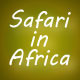 Safari In Africa