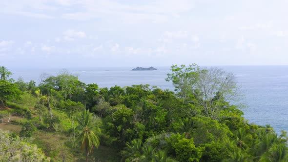 Aerial Drone View of Rainforest and Ocean on the Pacific Coast in Costa Rica, Tropical Jungle Coasta