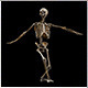 Halloween Skeleton Dance - VideoHive Item for Sale