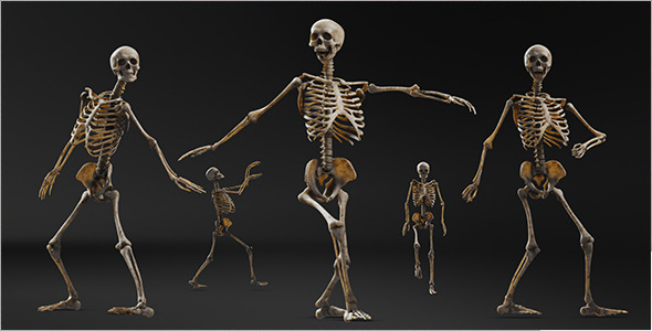 Halloween Skeleton Dance