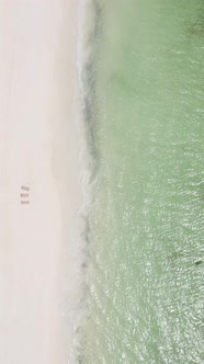 Vertical Video of the Beach on Zanzibar Island Tanzania