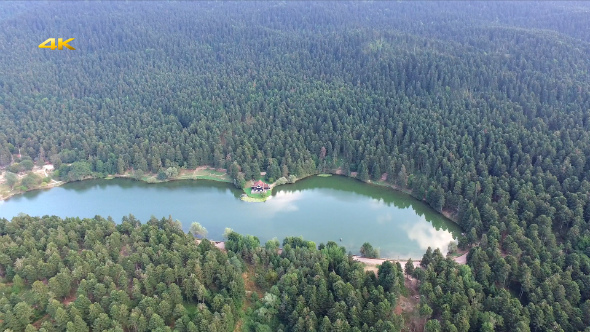 Aerial Lake House in the Forest (3 Clips)