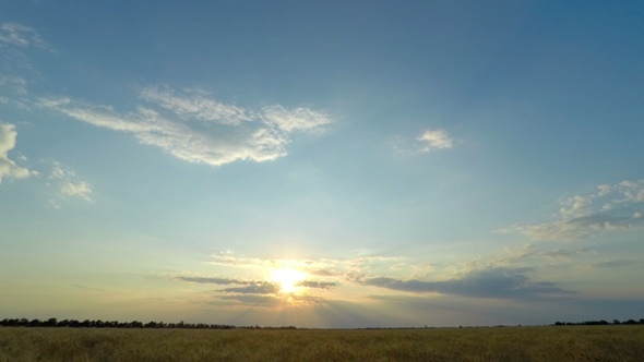 Sunset Sky over a Wheat Field