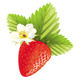 Strawberry - GraphicRiver Item for Sale