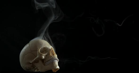 Smoking skull and mystery. 