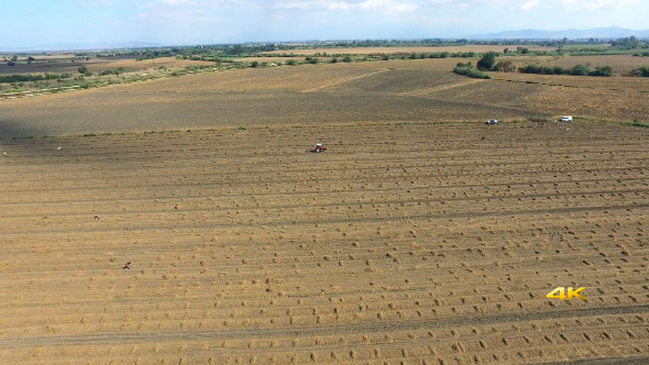 Aerial Tractor Collect Straw