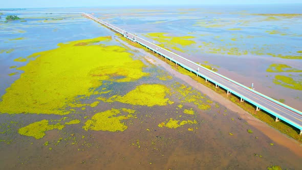 Aerial view from a drone over green and yellow plants in a large wetland