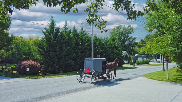 Amish Horse and Buggy Traveling on a Country Road