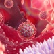 Coronavirus invasion process in human cells medical 3D animation - VideoHive Item for Sale