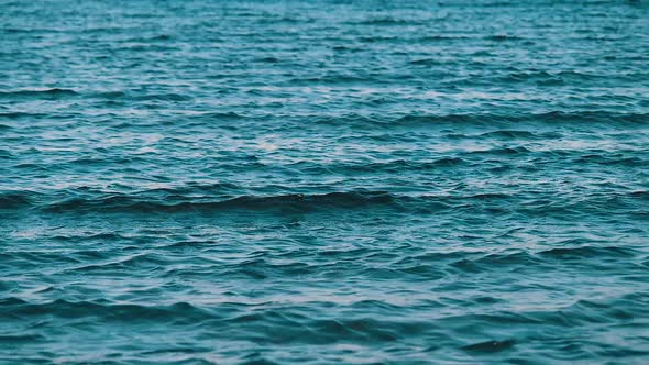 Sea