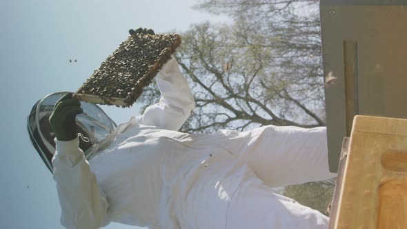 VERTICAL - EPIC HERO shot - Beekeeper inspecting a frame from a hive