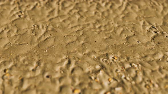 Lines in the Sand of a Beach