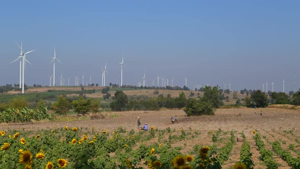 4k timelapse of Wind turbine producing alternative energy with blue sky